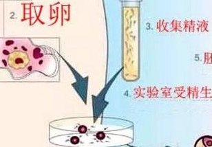 南宁三代试管婴儿收费表在这里，费用涉及哪些？