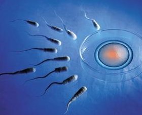 北京朝阳医院做试管婴儿需要多少钱(提高试管成功率的办法是什么)