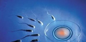 日本试管婴儿的费用因医院而异，降低费用的方法附在文章中