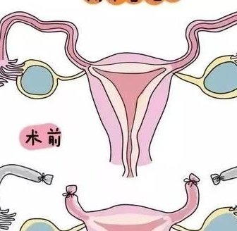 上海国妇婴三代试管技术评价及成功率分析