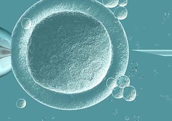 试管胃胀可以移植吗？费用多少钱呢？