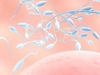 内蒙古省呼和浩特市三代试管助孕机构有哪些？费用和联系方式分享