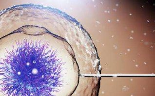 承德私立医院试管婴儿费用是多少？